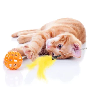 Juguetes para gatos de cazar, en Cali