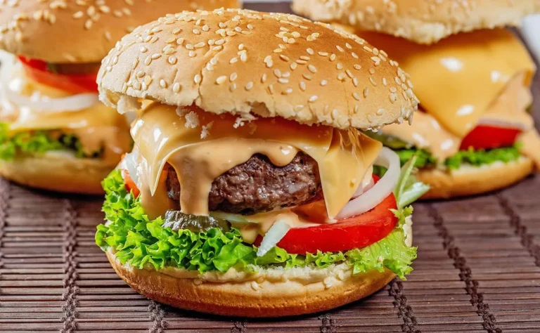 La excelente hamburguesa casera tdt